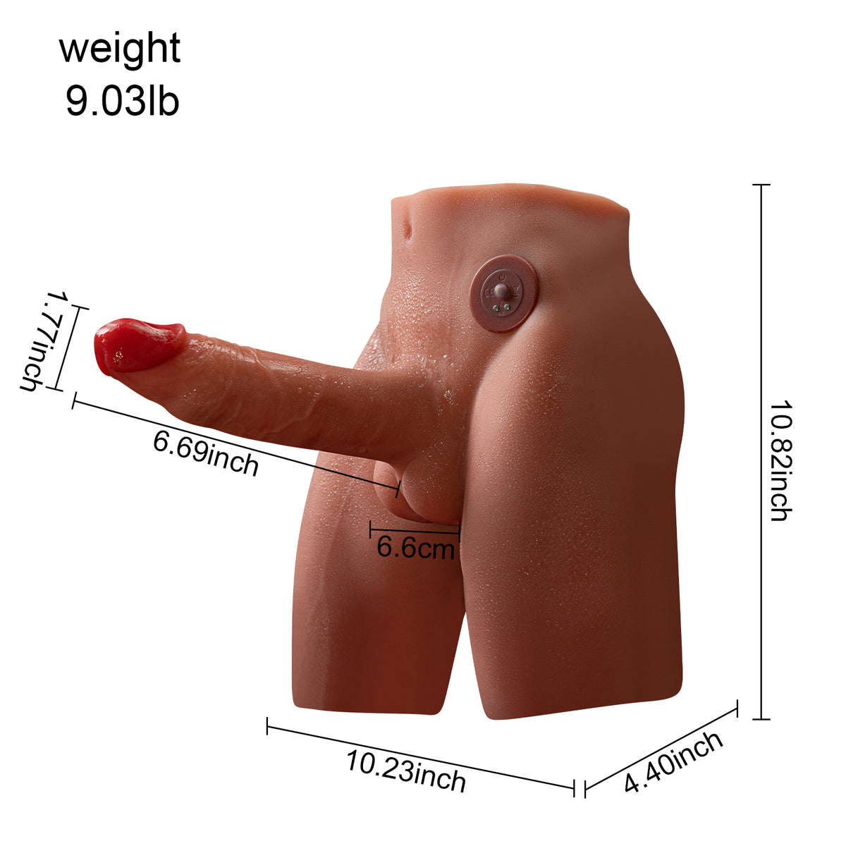 Male torso toy dimension and weight diagram