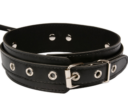 Black buckle collar close-up
