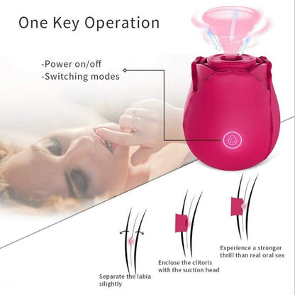 Rose-shaped suction toy with button and charging diagram