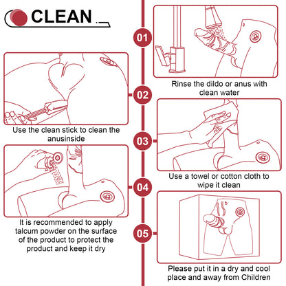 Illustrated cleaning and storage guide for male torso toy