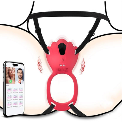 App-Controlled Wearable Panty Vibrator