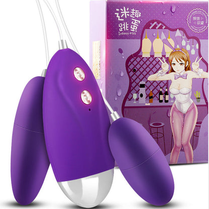 Purple egg vibrator beside controller and retail box
