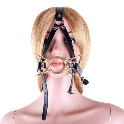 Front view of head harness and ring attachment