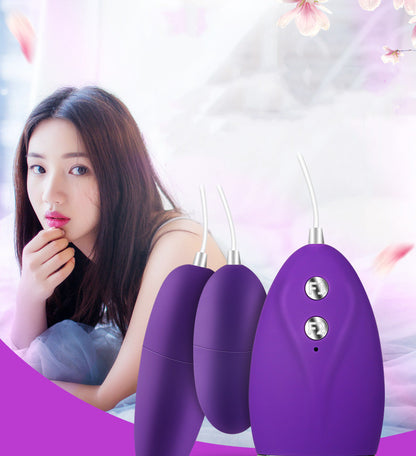 Purple egg vibrator with controller and packaging inset